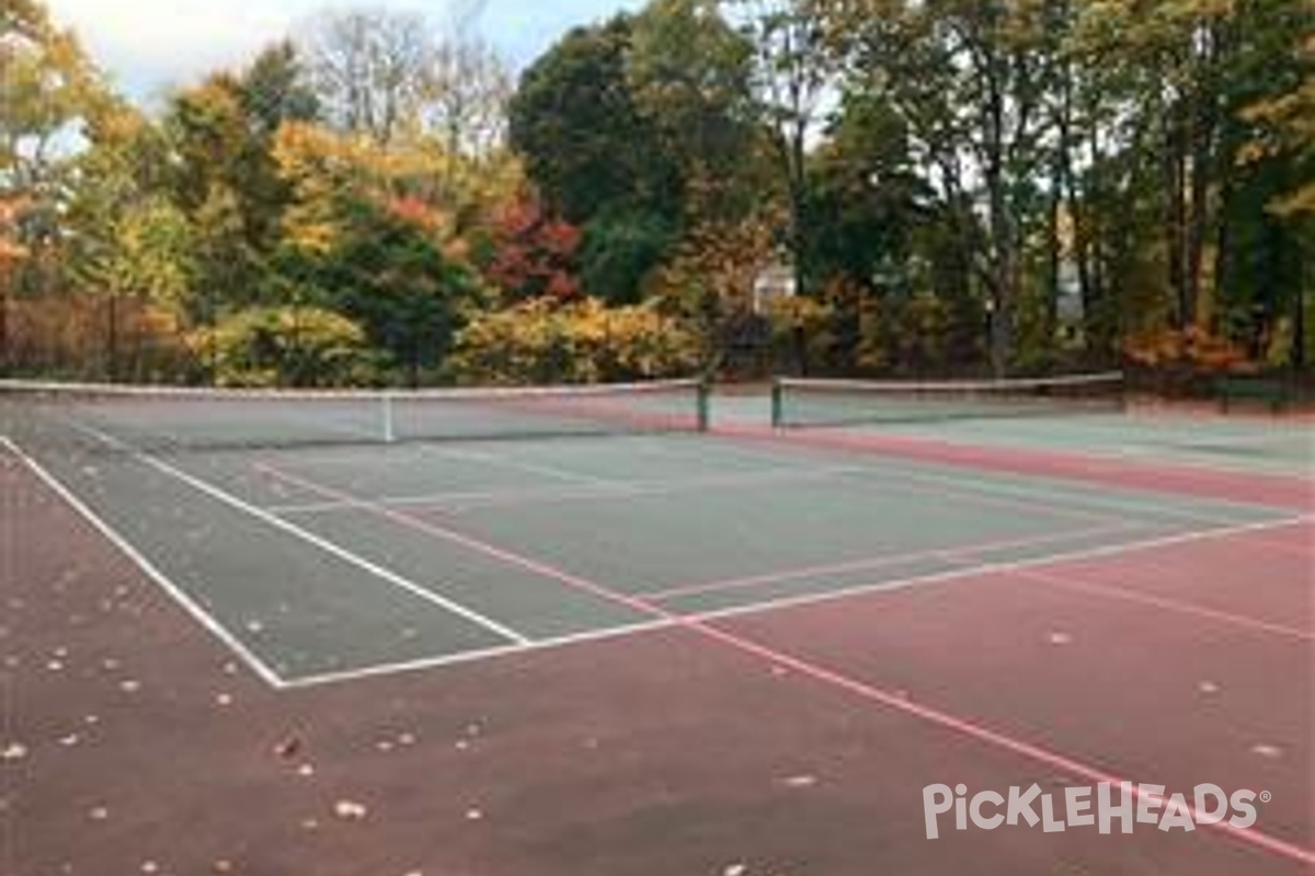 Photo of Pickleball at Clifford Park